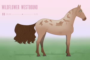 Thumbnail for 10571 Wildflower Westbound