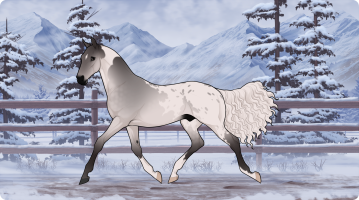 Thumbnail for 11153 Pluto