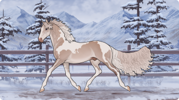 Thumbnail for 11194 MGS Forgive Me Not