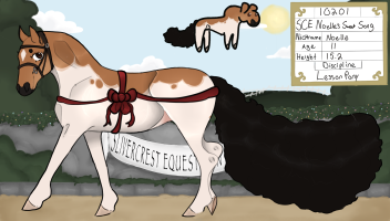 Thumbnail image for 10201 SCE Noelle’s Sweet Song