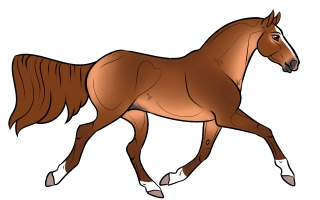 Thumbnail for 0863 SWS Garnet