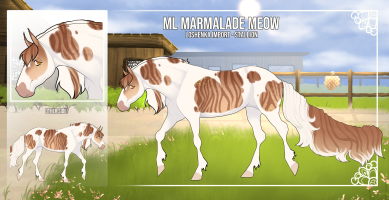 Thumbnail image for 10000 ML Marmalade Meow
