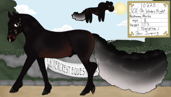 Thumbnail for 10225 SCE Oh Winter’s Night