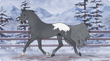 Thumbnail for 11243 Datum