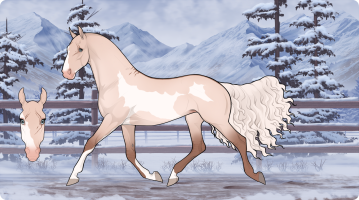 Thumbnail for 11293 Dandelion Dreams