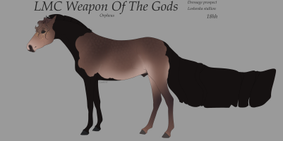 Thumbnail image for 10602 LMC Weapon Of The Gods