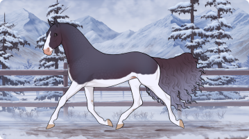 Thumbnail image for 11310
