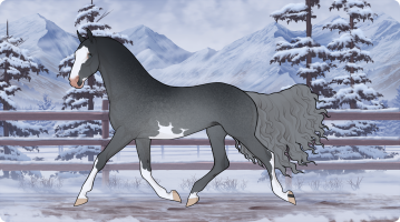 Thumbnail for 11331 Pomme Hypnotique