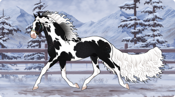 Thumbnail for 11351 Rainbow Chip Cake