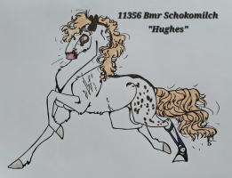 Thumbnail for 11356 Bmr Schokomilch