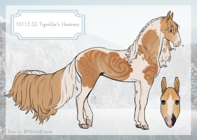 Thumbnail for 10113 SS Tigerlilie's Huntress