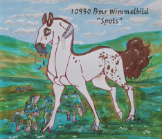 Thumbnail for 10930 Bmr Wimmelbild