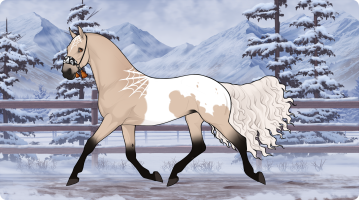 Thumbnail for 9971 CS The Queen of Cups