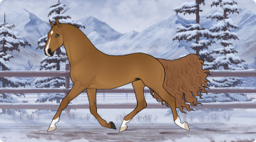 Thumbnail for 4085 SWS Ash and Amber