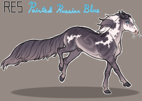 Thumbnail for 11353 RES Painted Russian Blue