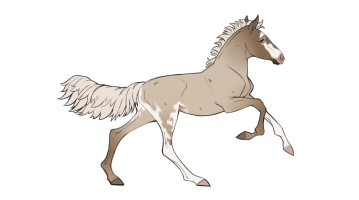 Thumbnail image for 7604 Ricecake