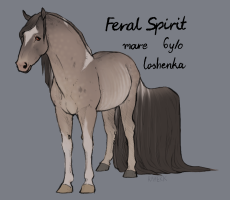 10153 Feral Spirit