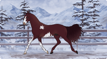 Thumbnail for 11528 Wine for Dinner