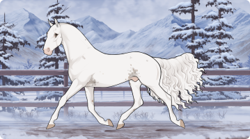 Thumbnail for 11533 DAR Snowbound