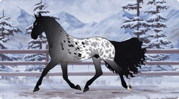 Thumbnail for 11540 SVR Prince of a Starry Night