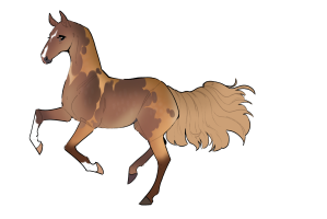 Thumbnail for 11578 Allspice