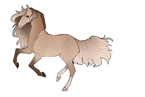 Thumbnail for 11580 Star Anise