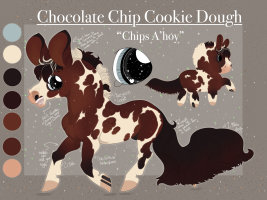 Thumbnail image for 10950 Chocolate Chip Cookie Dough