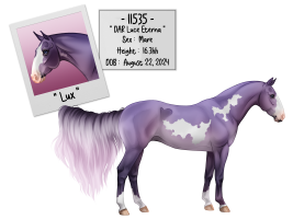 Thumbnail for 11535 DAR Luce Eterna
