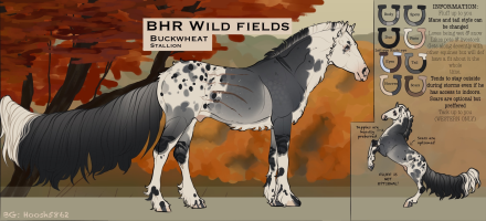11550 BHR Wild Fields