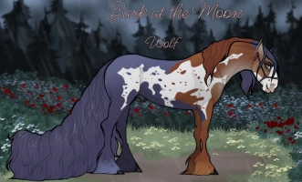 Thumbnail for 11489 Bark At The Moon