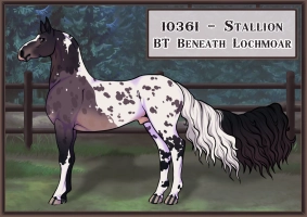 Thumbnail for 10361 BT Beneath Lochmoar