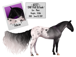 Thumbnail for 11227 DAR Flick N Fade