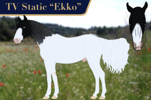 Thumbnail for 10112 TV Static