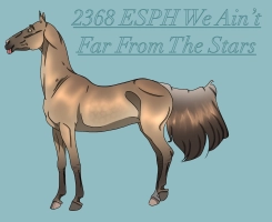 2368 ESPH We Ain’t Far From The Stars Thumbnail