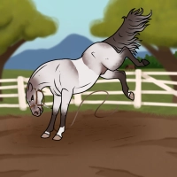 Thumbnail for 11405 Doodle Bug