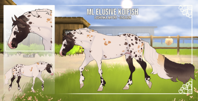 Thumbnail for 11158 ML Elusive Koifish