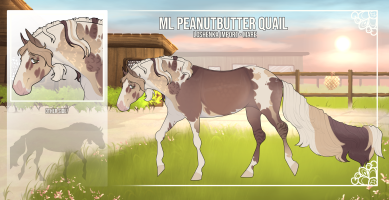 Thumbnail for 11188 ML Peanutbutter Quail