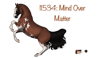 Thumbnail for 11534 Mind Over Matter