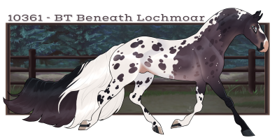 Thumbnail for 10361 BT Beneath Lochmoar
