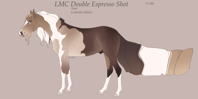 Thumbnail image for 11359 LMC Double Espresso Shot