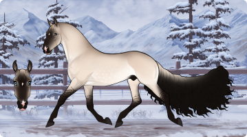 Thumbnail image for 11128