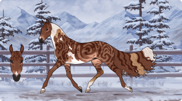 Thumbnail for 11710 Maine Coon