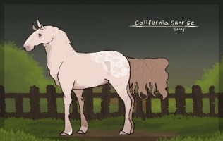 Thumbnail for 2437 California Sunrise