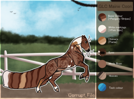 Thumbnail of 11710 Maine Coon