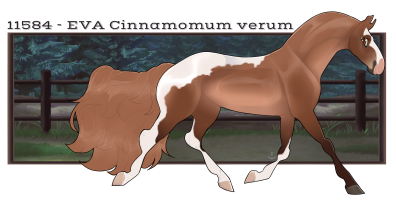 Thumbnail for 11584 EVA Cinnamomum verum