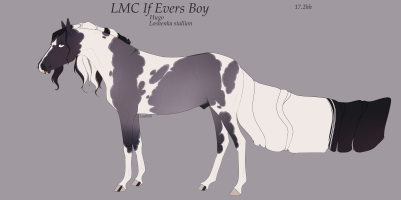 Thumbnail image for 11477 LMC If Evers Boy