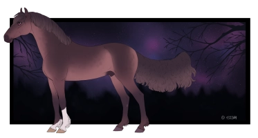 Thumbnail for 11703 Dianthus