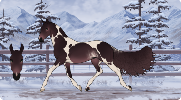 Thumbnail for 7659 HSN Brillantina Or So I Thought