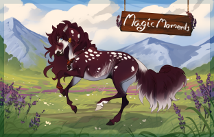 Thumbnail of 10016 Magic Moments