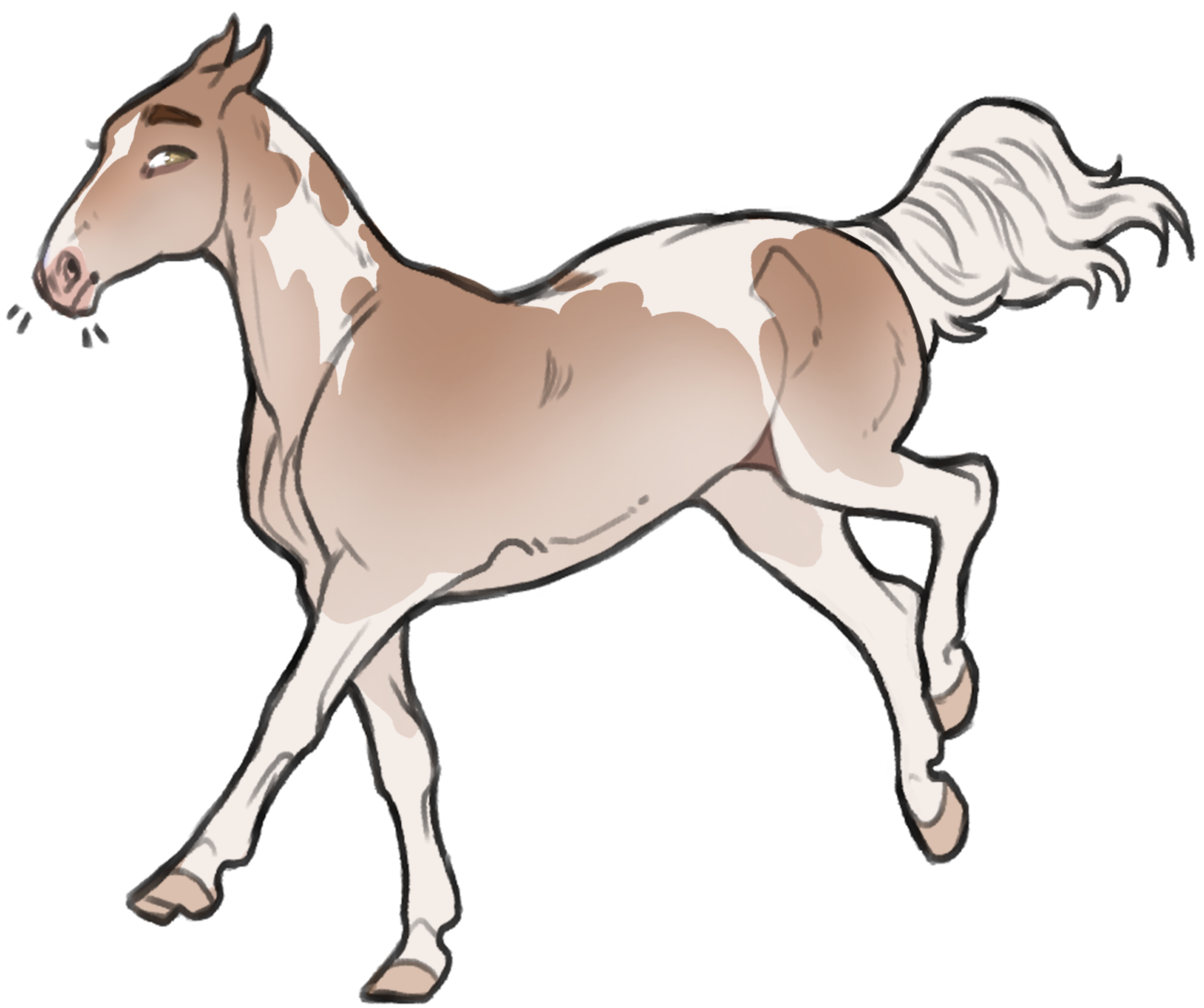 11609 SVS Golden Whine